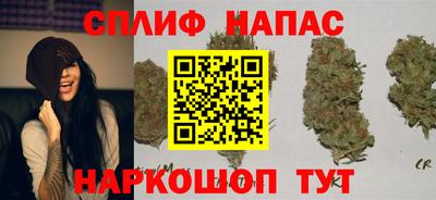 бошки Заводоуковск