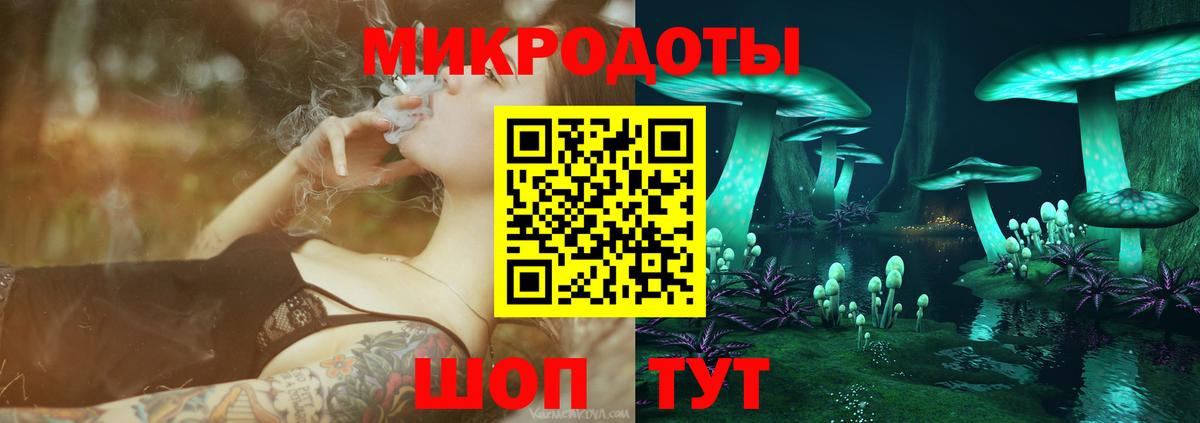 Псилоцибиновые грибы Cubensis Тулун